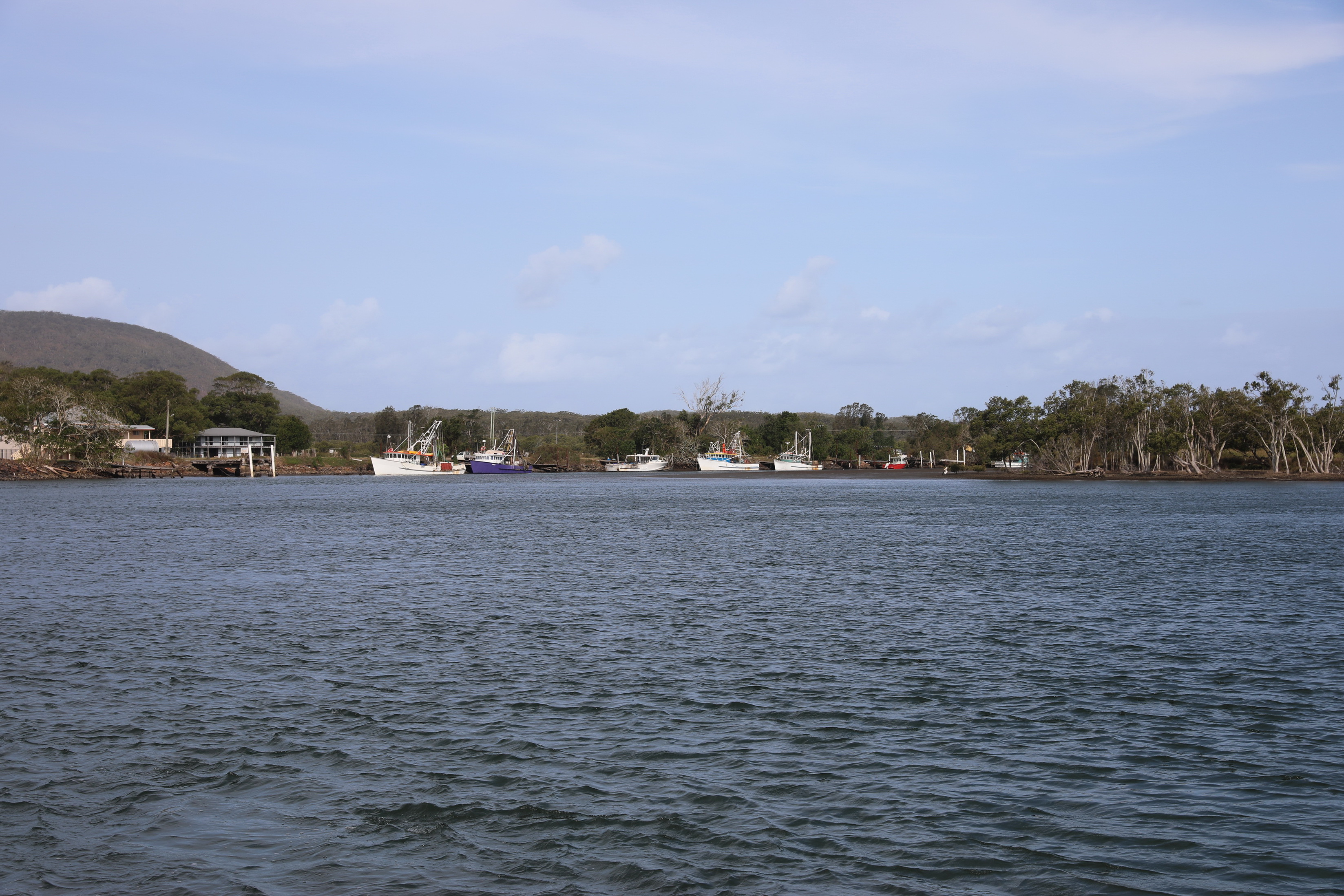 2020 01 12 17 03 31 Canon EOS 5D Mark IV 0038